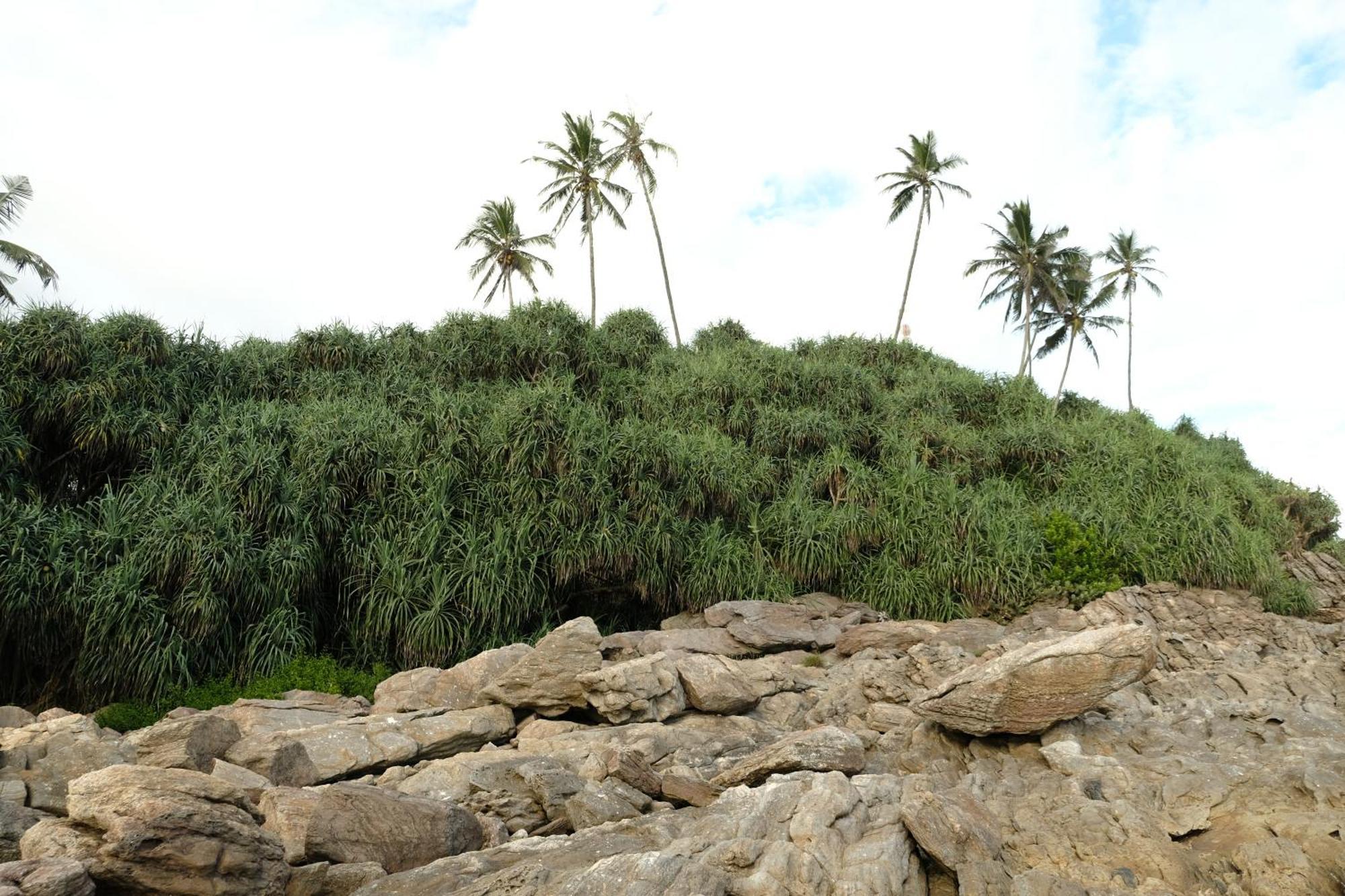 Menaka Homestay Tangalle Exterior foto